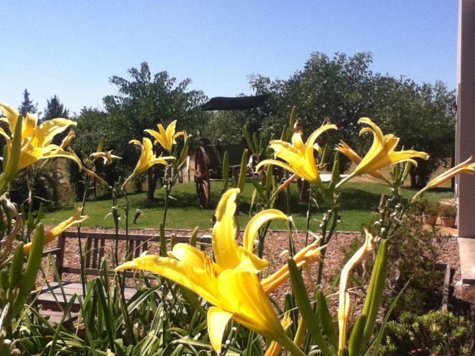 Solar Del Pago Hotel San Antonio de Areco Ngoại thất bức ảnh